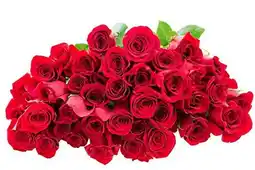 Walmart Kabloom Handpicked Fresh Cut Flowers - 50 Red Roses Bouquet offer