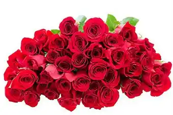 Walmart Kabloom Handpicked Fresh Cut Flowers - 50 Red Roses Bouquet offer