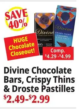 Ocean State Job Lot Divine Chocolate Bars, Crispy Thins & Droste Pastilles offer
