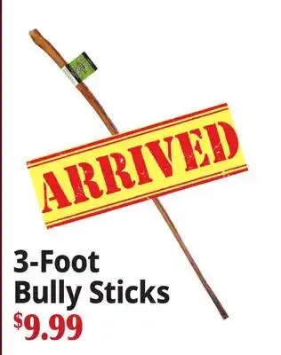 Ocean State Job Lot 3-Foot Bully Sticks offer