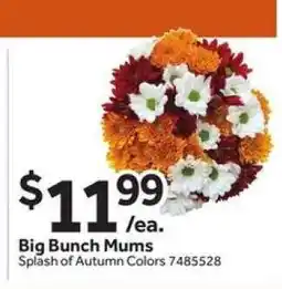 Stop&Shop Big Bunch Mums offer