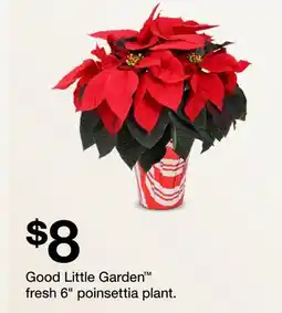 Target Good Little Garden fresh 6 poinsettia plant offer