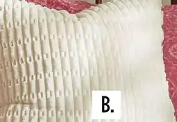 Dollar General Throw Pillow offer