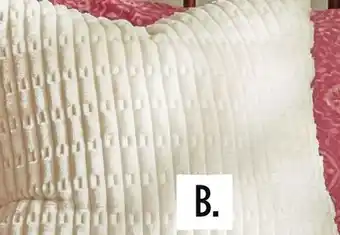 Dollar General Throw Pillow offer