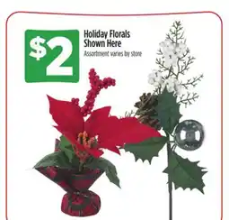 Dollar General Holiday Florals Shown Here offer