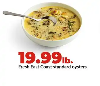 Hy-Vee Fresh East Coast standard oysters offer
