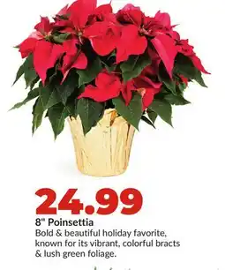 Hy-Vee 8 Poinsettia offer