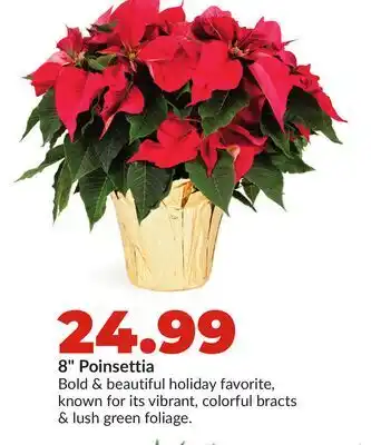 Hy-Vee 8 Poinsettia offer