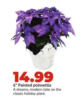 Hy-Vee 6 Painted poinsettia offer