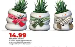 Hy-Vee LiveTrends Shivery offer