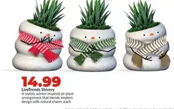 Hy-Vee LiveTrends Shivery offer