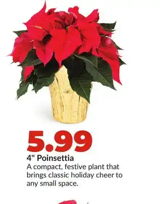 Hy-Vee 4 Poinsettia offer