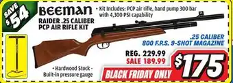 Big 5 Beeman Raider .25 Caliber PCP Air Rifle Kit offer