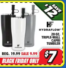 Big 5 Hydraflow 20 oz. Triple-Wall Capri Tumbler offer