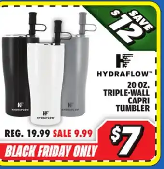 Big 5 Hydraflow 20 oz. Triple-Wall Capri Tumbler offer