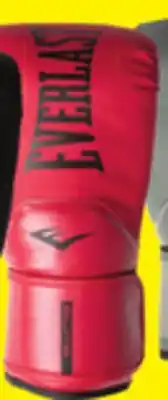 Big 5 Everlast Elite 2 Boxing Gloves 16 oz offer
