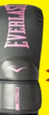 Big 5 Everlast Elite 2 Boxing Gloves 12 oz offer