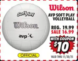 Big 5 Wilson AVP Soft Play Volleyball offer