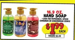 Ollie's 16.9 OZ. HAND SOAP offer