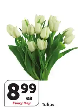 Albertsons Tulips offer