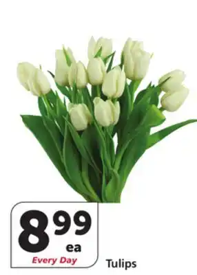 Albertsons Tulips offer