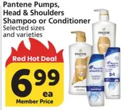 Albertsons Pantene Pumps, Head & Shoulders Shampoo or Conditioner offer