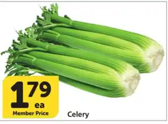 Albertsons Celery offer