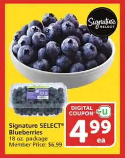 Albertsons Signature SELECT Blueberries offer