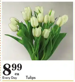 Pavilions Tulips offer