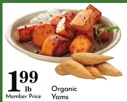 Pavilions Organic Yams offer