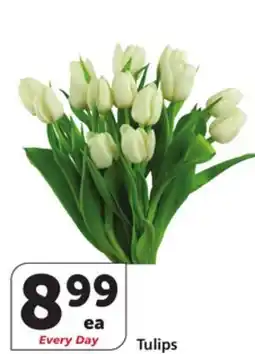 Vons Tulips offer