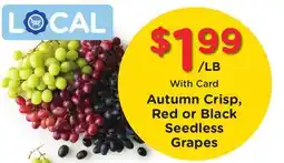 Ralphs Autumn Crisp, Red or Black Seedless Grapes offer
