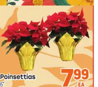 Tony’s Fresh Market Poinsettias offer