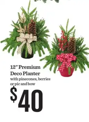 Mariano's 12 Premium Deco Planter offer