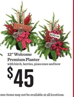 Mariano's 12 Welcome Premium Planter offer
