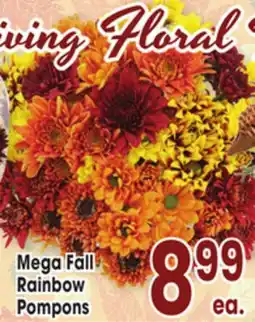 Jewel-Osco Mega Fall Rainbow Pompons offer