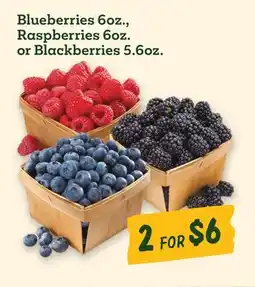 Sprouts Farmers Market Blueberries 6oz., Raspberries 6oz. or Blackberries 5.6oz offer