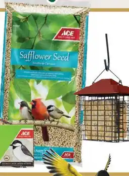 Ace Hardware Ace 10/Pk. High Energy Suet offer