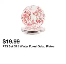 Marshalls PTS Set Of 4 Winter Forest Salad Plates offer