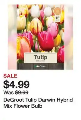Tractor Supply Company DeGroot Tulip Darwin Hybrid Mix Flower Bulb offer