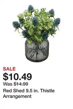 Tractor Supply Company Red Shed 9.5 in. Thistle Arrangement offer