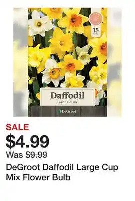 Tractor Supply Company DeGroot Daffodil Large Cup Mix Flower Bulb offer