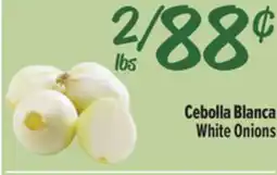 El Super White Onions offer