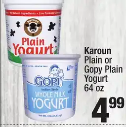 Super King Markets Karoun Plain or Gopy Plain Yogurt offer