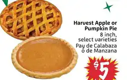 Foodmaxx Harvest Apple or Pumpkin Pie offer
