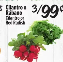 El Super Cilantro or Red Radish offer