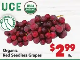 Vallarta Supermarkets Organic Red Seedless Grapes offer