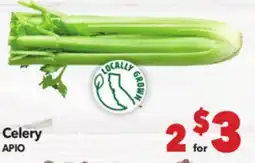 Vallarta Supermarkets Celery / APIO offer