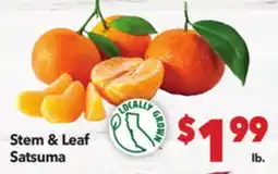 Vallarta Supermarkets Stem & Leaf Satsuma offer