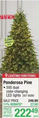 Menards Ponderosa Pine offer